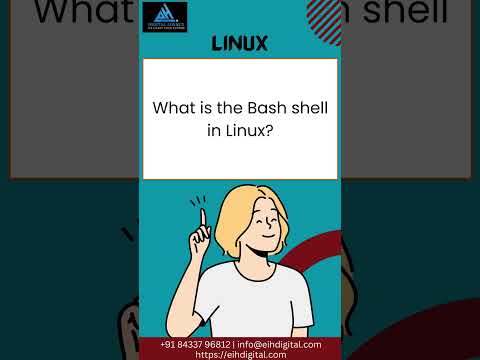 Bash Shell Demystified  #shorts #youtubeshort #viral