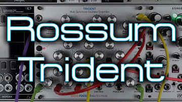 Rossum Electro-Music Trident ( Triton )  // Triple VCO with UNIQUE Analog Tones & Modulation
