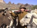 ASK JEFF WILLIAMS.COM, Thanks to All my Viewers