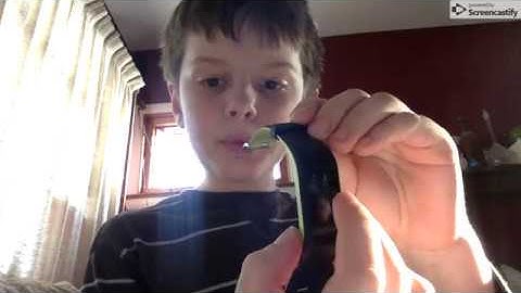 How To Start An Activity On A Garmin Vivo Sport