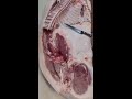 # Meat Slicing Knife Recommendation