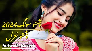 Pashto New Songs 2024 | TikTok Viral Song 2024 | Slowed+Reverb | New Pashto Sad Song | Pashto Taapay