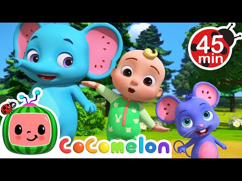 Opposite Friends Song + More CoComelon Animal Time | Animals for Kids