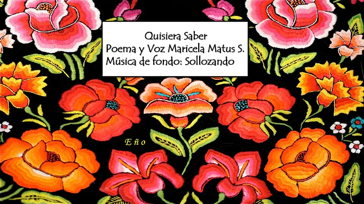 Maricela Matus   - Ser posible