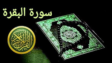 تكرار سورة البقرة 20 مرة للحفظ من أية 164_169
