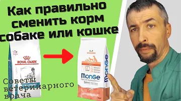 Как переходить на другой корм