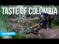 A taste of colombia  shimano