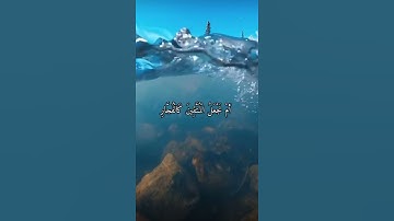 واتس اب قران كريم القارئ علي عبد السلام اليوسف (سوره ص)