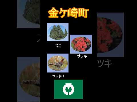日本の市町村紹介～岩手県金ケ崎町～ #岩手 #岩手県 #金ケ崎町 #金ケ崎 #金ケ崎町城内諏訪小路