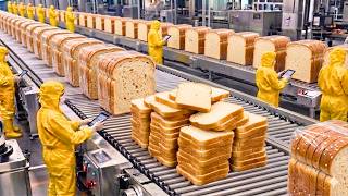 Proceso de producción de millones de panes de sándwich en mega fábrica