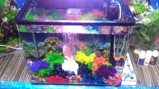 How to set up a Digital Molded aquarium - try it yourself