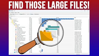 Find Large Files Instantly with RidNacs! (Portable Disk Analyzer)