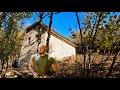 Processing lumber for the offgrid stone hut wilderness homestead ep 08