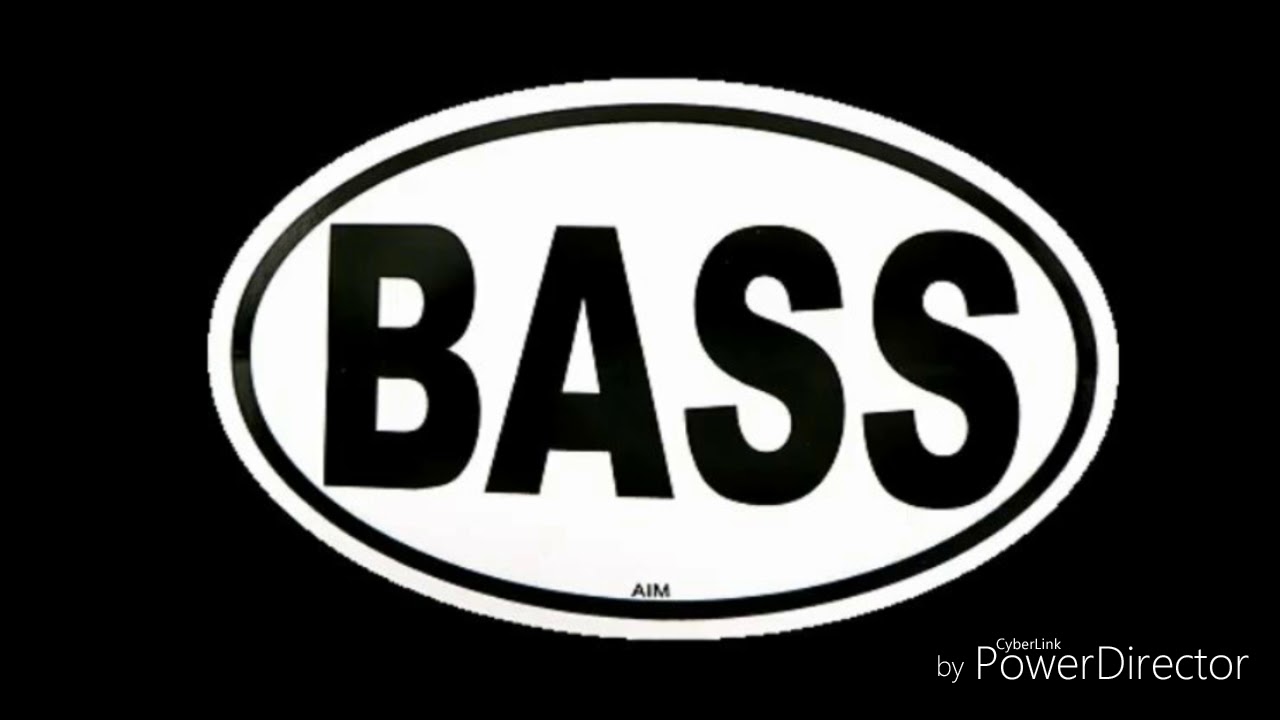 Bass com. Наклейка Bass. Bass надпись. Наклейки на авто Bass. Nadpisj Boss.
