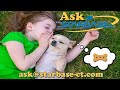 Ask STARBASE Episode 196: Can dogs understand us?