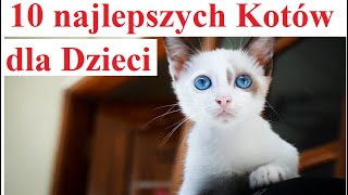 10 najlepszych Kotów dla Dzieci by Ciekawski jak Polak 901 views 2 weeks ago 12 minutes, 4 seconds