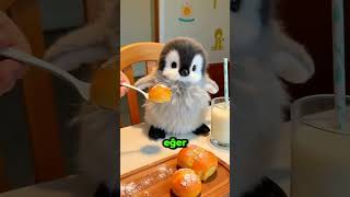 Eve Zorla Girmeye Çalışan Kişiyi Öğrenince Şoka Girdi! 😨😳