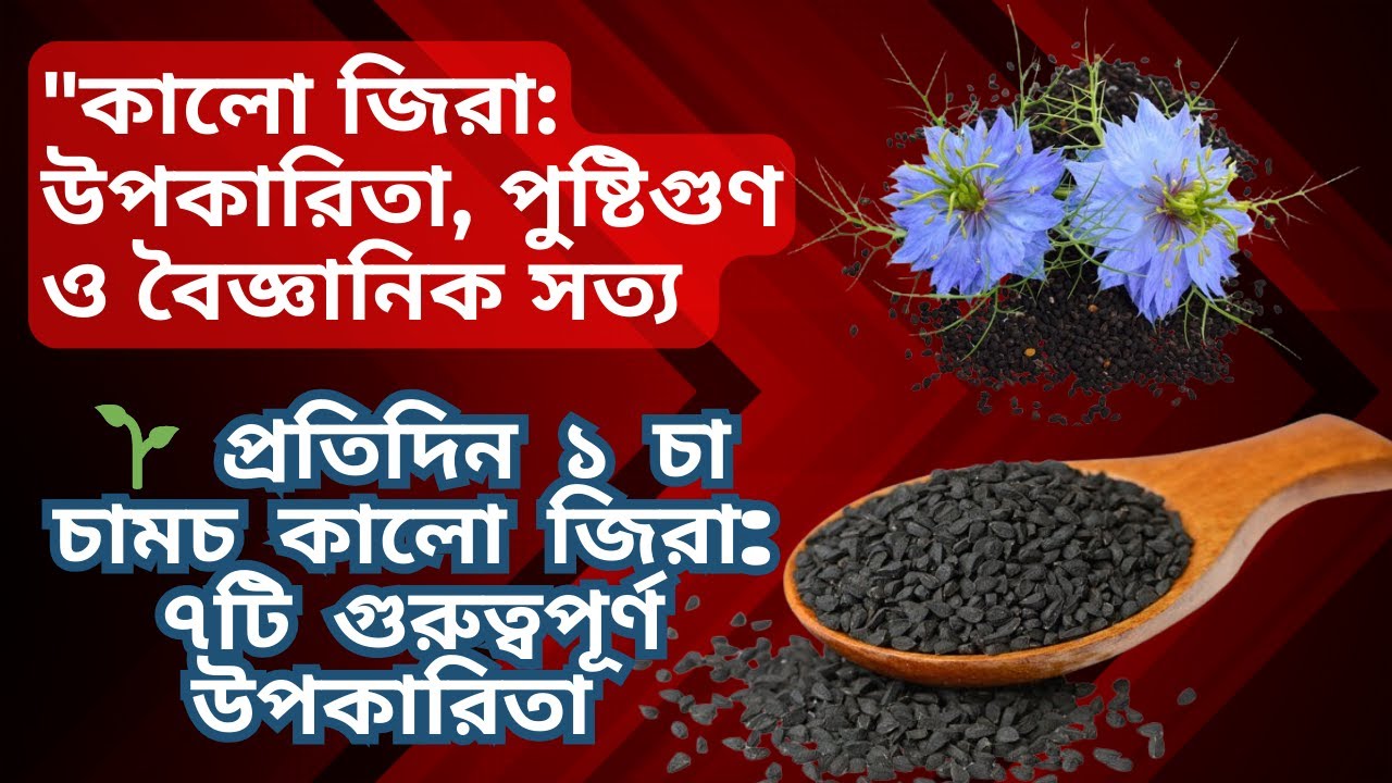 কালো জিরা  উপকারিতা, পুষ্টিগুণ ও বৈজ্ঞানিক সত্য ||  Black Cumin Benefits Explained in Bengali ||
