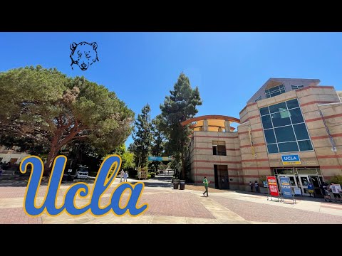 Universidad de California, Los Angeles | UCLA 🔵 🟡