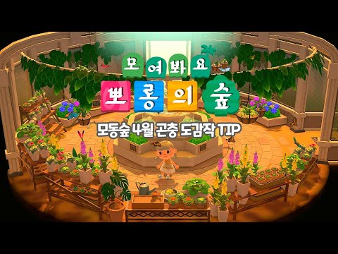 모여봐요 동물의 숲 4월에 추가된 모든 곤충 잡는 방법 벼룩 물장군부터 아틀라스나방 비단벌레까지 mp3 모여봐요 동물의 숲 4월에 추가된 모든 곤충 잡는 방법 벼룩 물장군부터 아틀라스나방 비단벌레까지 Mp3