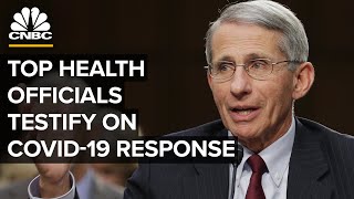 Top health officials testify on Trump administration's Covid-19 response — 6/23/2020 Net Worth