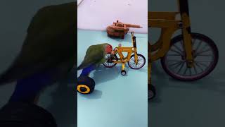 Cute Tiger Parrot Can Ride A Bicycle, Parrot Can Perform #Cutebird #Lovebirdsforever #Cuteparrot