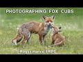 Photographing Fox Cubs using the Olympus EM1X and the 300mm F4 lens