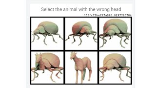 Select the Animal with the Wrong Head Roblox | How to Fix Select the Animal with the Wrong Head screenshot 2