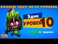 КАЧАЕМ ЭДНУ НА 10 УРОВЕНЬ В ИГРЕ ZOOBA