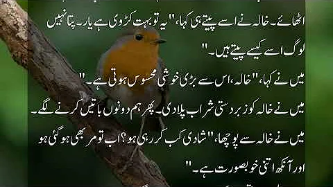 Khaala or Bhaii | A Emotional Heart Touching Story | Moral Story in Urdu | hindi kahani | love Story