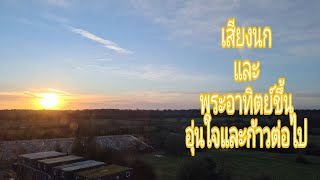 สดชื่นยามเช้ากับเสียงนกร้องเพลง และแสงพระอาทิตย์ขึ้นที่สดใส screenshot 3