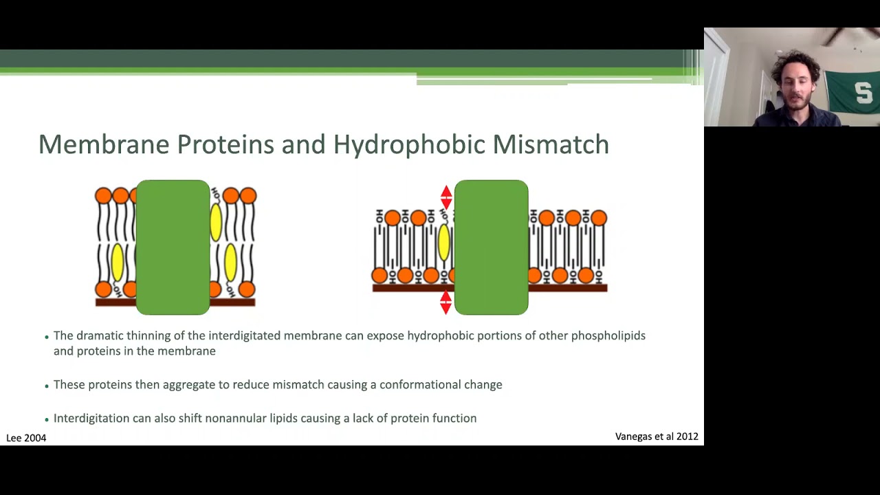VEN290 Sp '21: Evaluating genes of interest for effect on ethanol tolerance in Saccharomyces cerevis