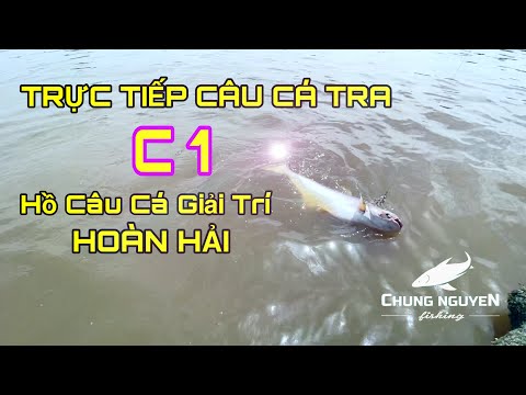 Trực Tiếp Câu Cá Tra C1 | Hồ Câu Cá Hoàng Hải | Chung Nguyễn Fishing