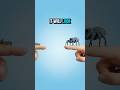 Train your jumping spider to jump on command #shorts #spider #pets