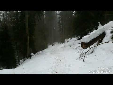 ლომისმთის ბულიკი,  ბორჯომ-ხარაგაულის ეროვნული პარკი