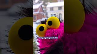 3 things Diablo thinks of snow. #puppet #weather #canada