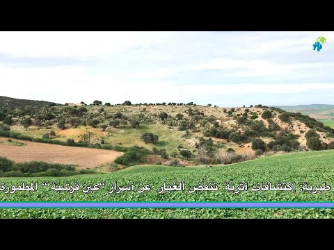 منوبة طبربة اكتشافات اثرية جديدة تنفض الغبار عن اسرار عين قرشبة المطمورة