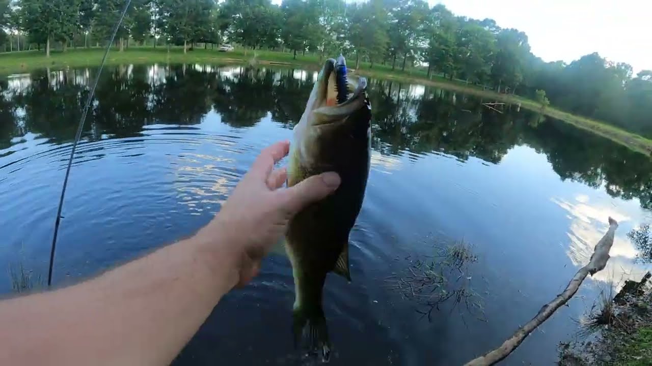Bass Fishing an old gem! Swimbait and Bubblewalker action