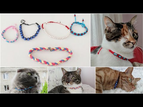 Video: Bir Kedi Sever Için Ustalık Sınıfı: Kendi Elinizle Bir Evcil Hayvan Için Tasma Nasıl Yapılır