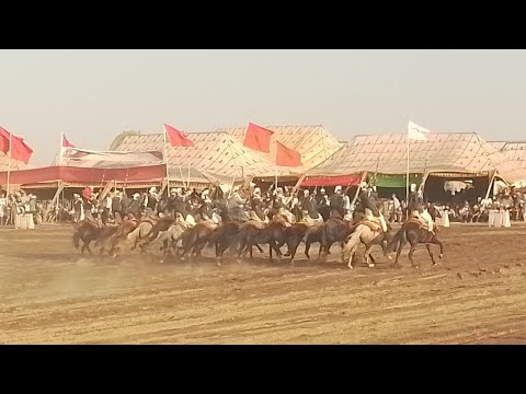 عروض اليوم الثالث من مهرجان التبوريدة السنوي جماعة الغوالم 2025 مهرجان الغوالم موسم الغوالم