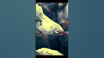 Avian flu leaps from birds to mink, raising fears about virus
