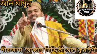 ফিলিস্তিনিদের জন্য কি বললেন পীরজাদা আব্বাস সিদ্দিকী আল কুরাইশী