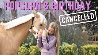 POPCORN'S BIRTHDAY... CANCELLED!  :(