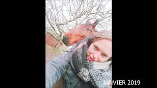 Ma jument et moi ~ 3ans ensemble