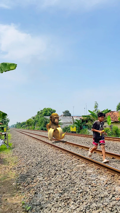 Simpansini bananini ketabrak kereta hantu😱🍌