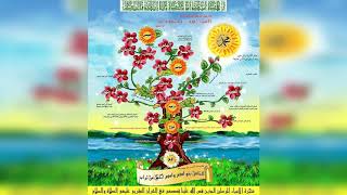 تعرف على تسلسل شجرة الانبياء المرسلين الذين ذكروا فى القرآن الكريم وترتيبهم وأين عاشوا ودفنوا