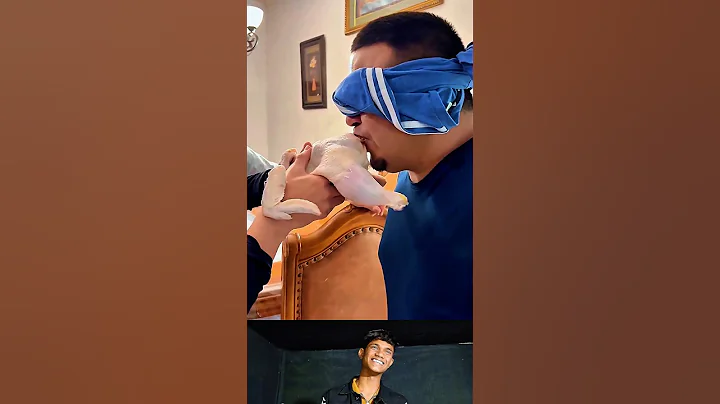 Try Not To Laugh Impossible Challenge 14 #funny #laugh #comedy #viralvideos #fails #memes