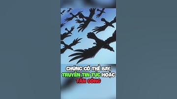 Những TRÁI ÁC QUỶ Hệ Logia Trong One Piece #shorts