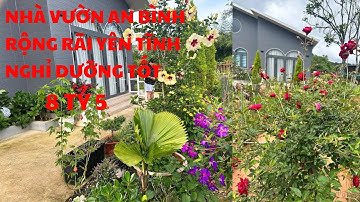 Nhà vườn hơn 600m2 An Bình - Giá 8 tỷ 5