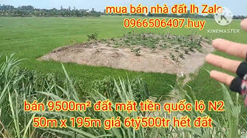 bán 9500m² đất mặt tiền quốc lộ N2. 50m x 195m giá bán 6tỷ500tr hết đất tại huyện Tân thạnh